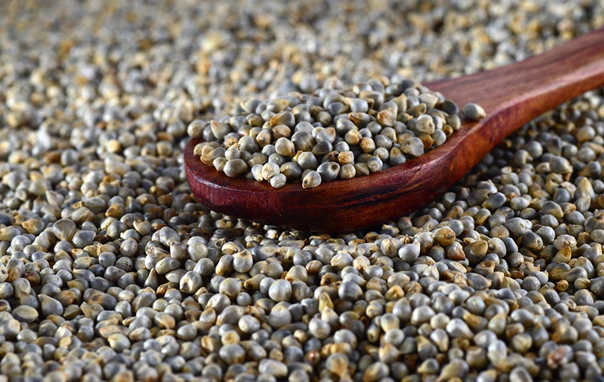 bajra