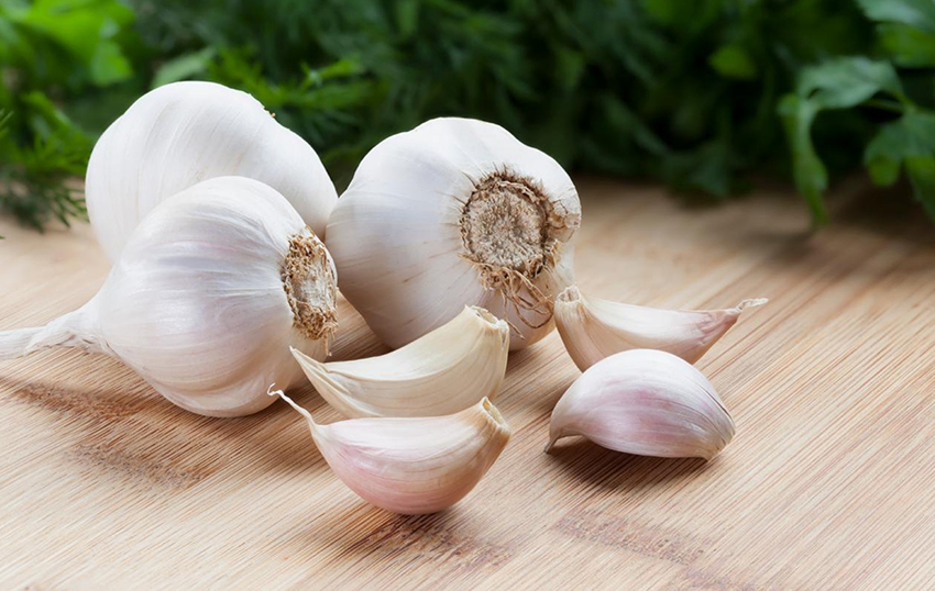 garlic