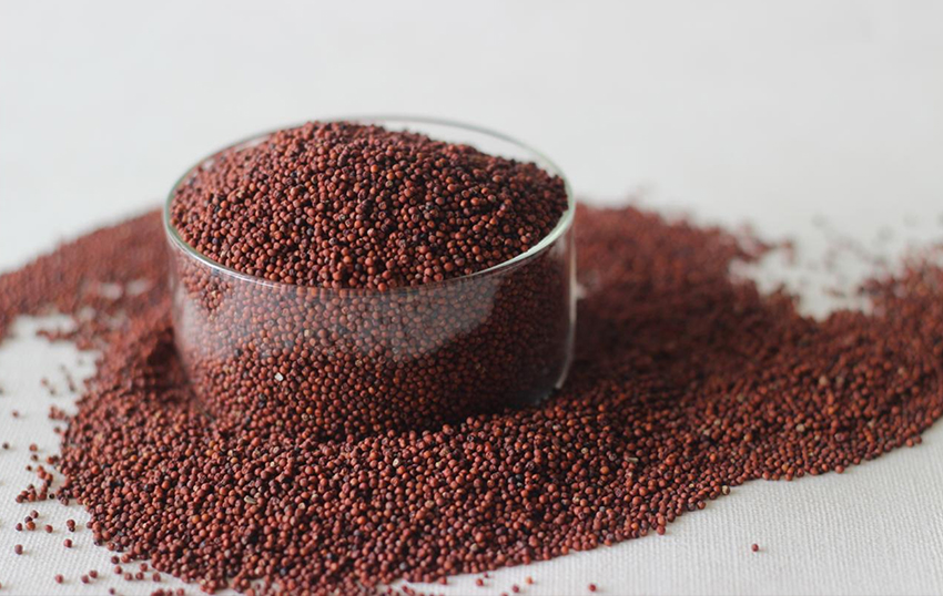 ragi